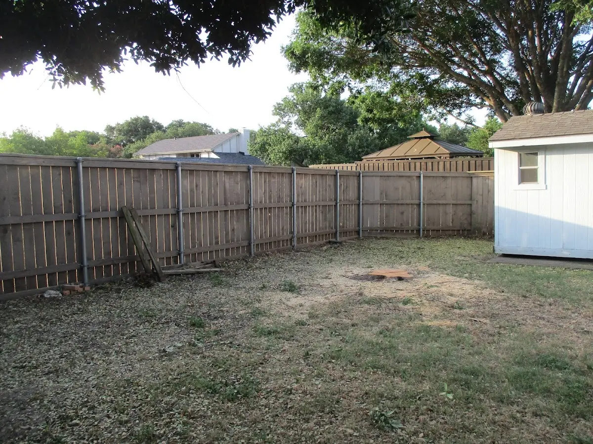 Cleared yard after professional tree removal in Advance