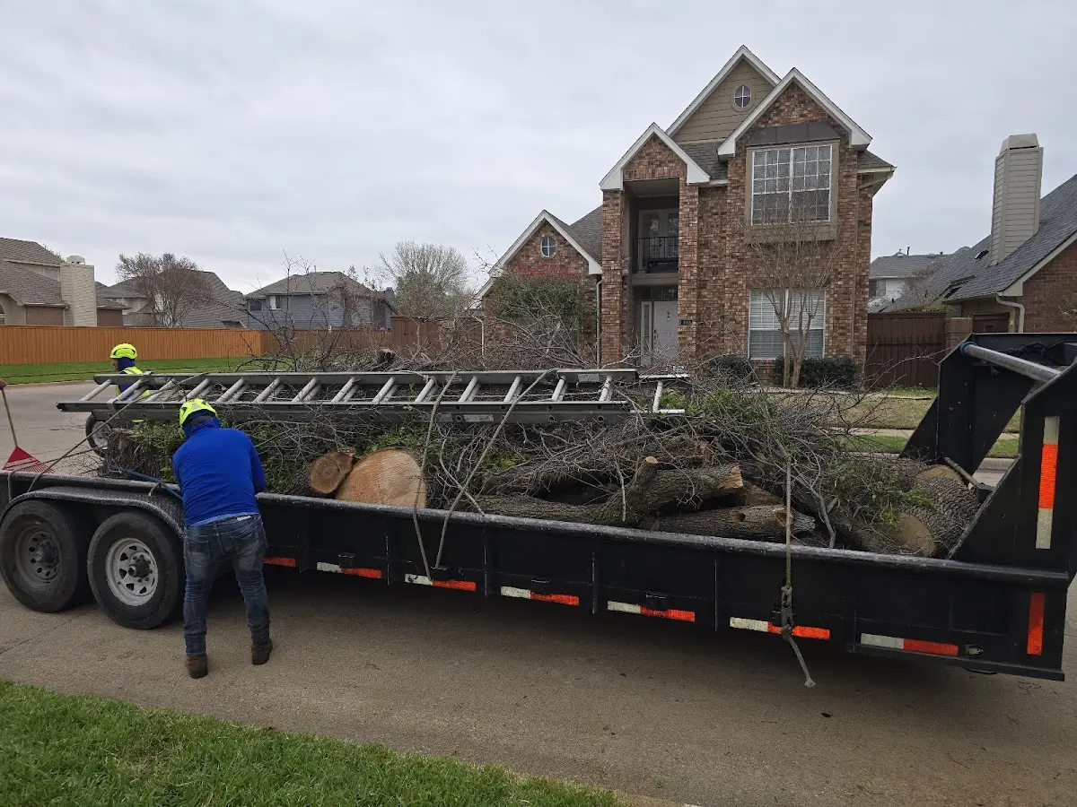 Expert Lot Clearing with proper safety equipment in Advance